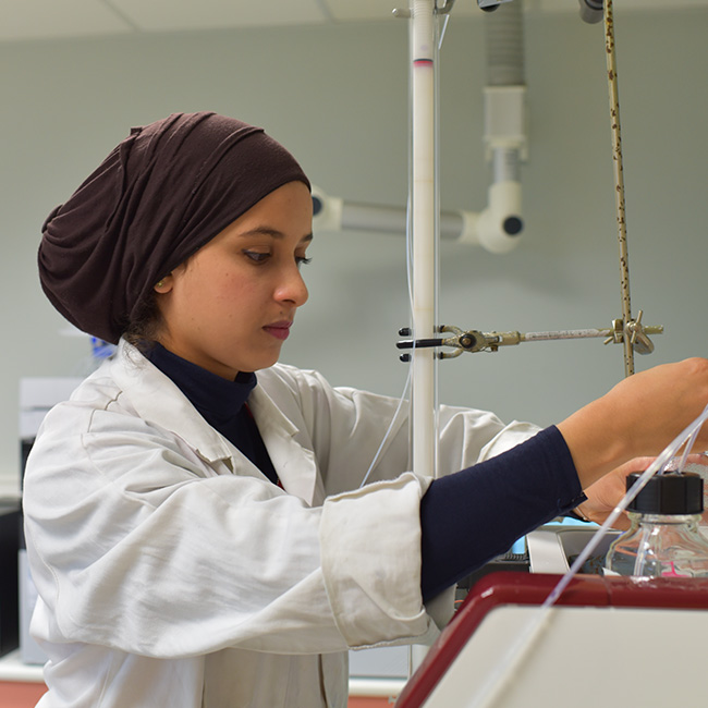 Science et génie des matériaux